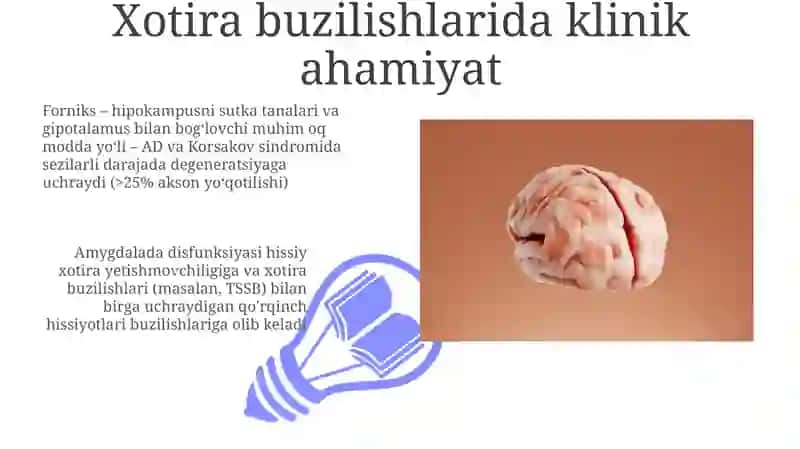 Limbik tizim klinik ahamiyati 3