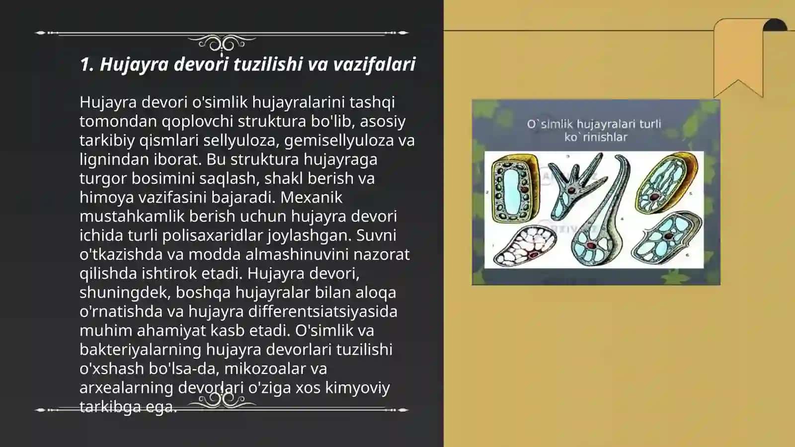 Oʻsimlik hujayrasining oʻziga xos xususiyatlari 3