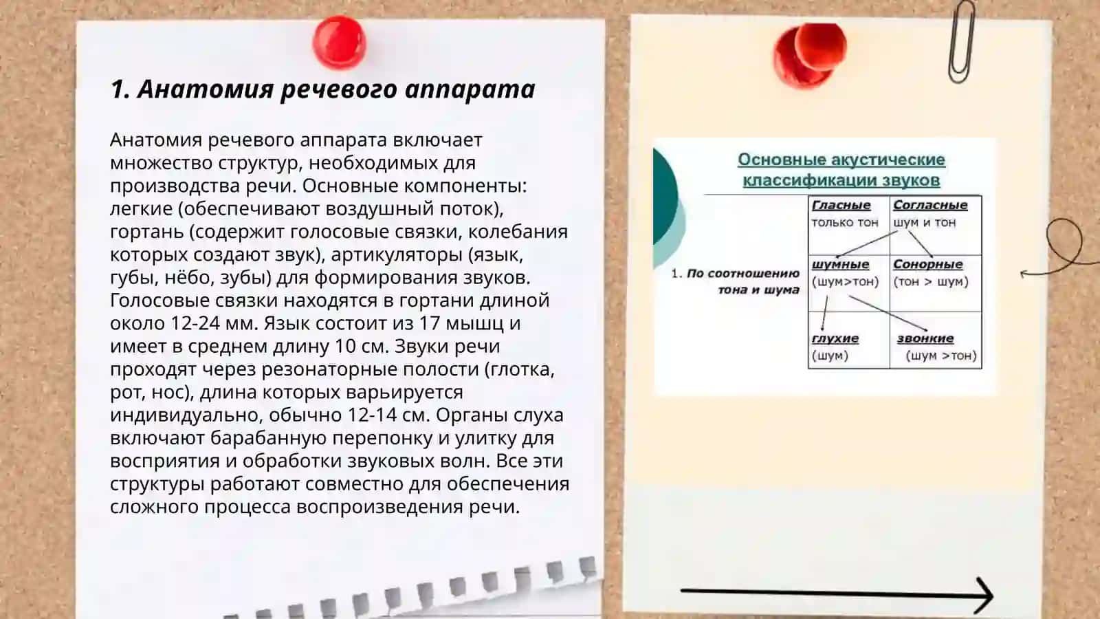 Понятие об образовании звуков и их классификация 3