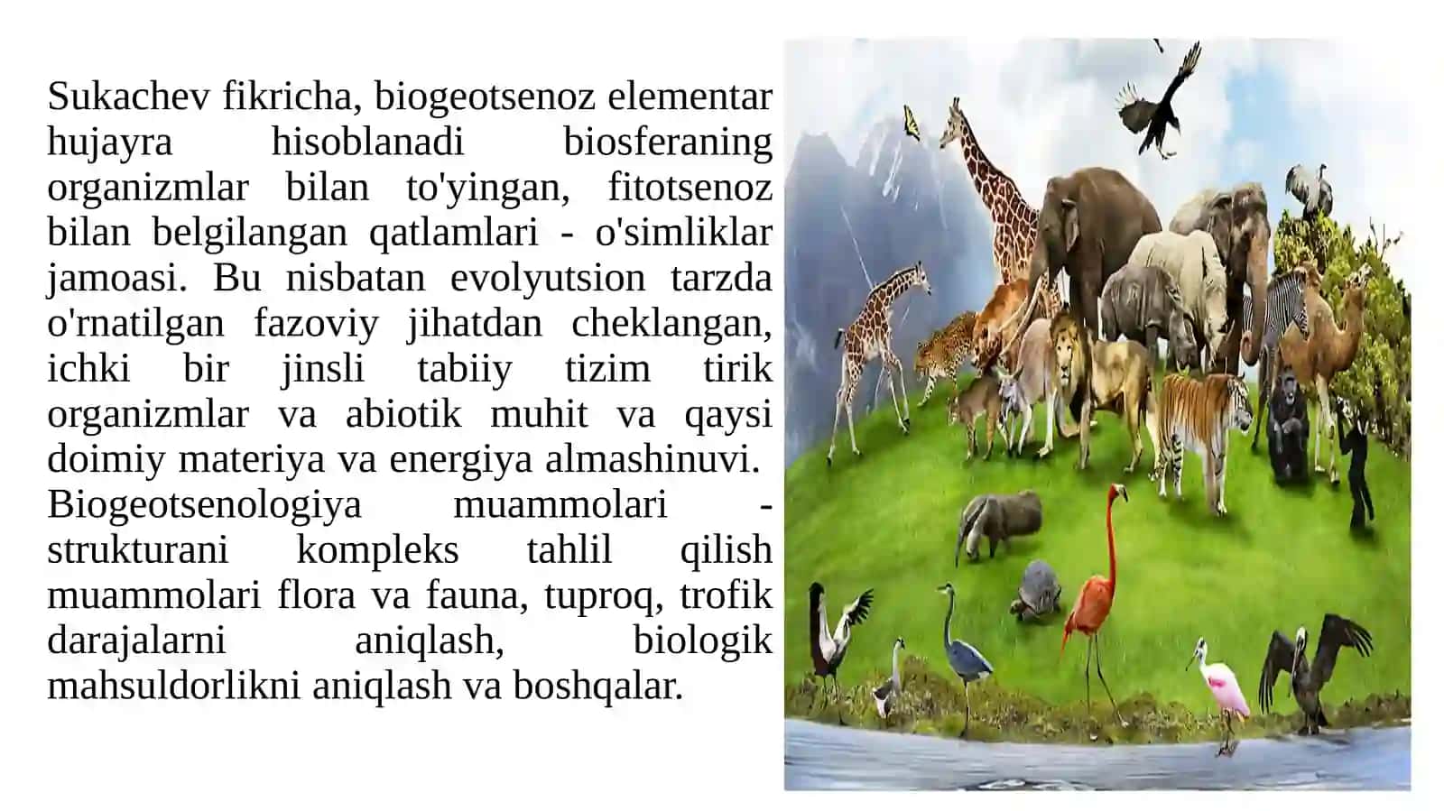 Biogeotsenoz va ekologik omillar 3