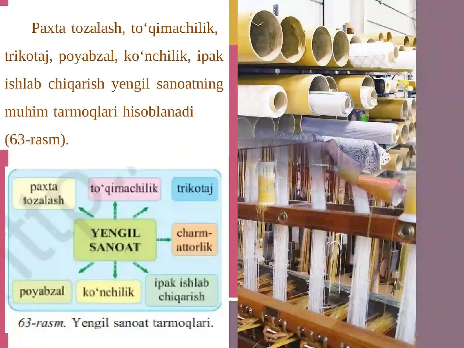 Paxta tozalash va sanoat mahsulotiyengil sanoat 3