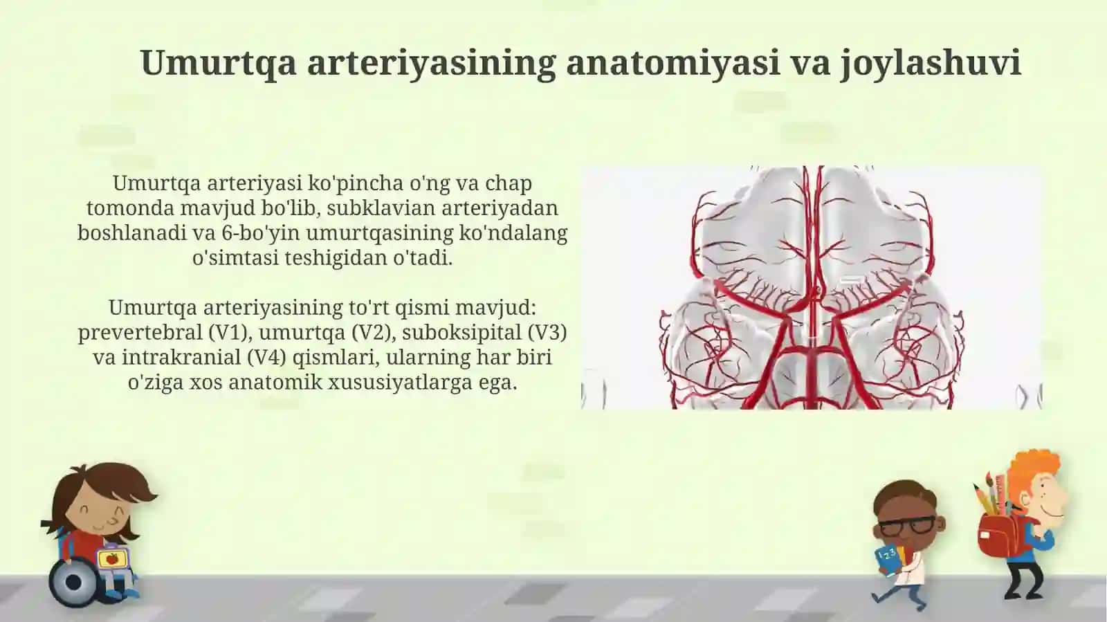 Umurtqaarteriyalarivaularningahamiyati 3