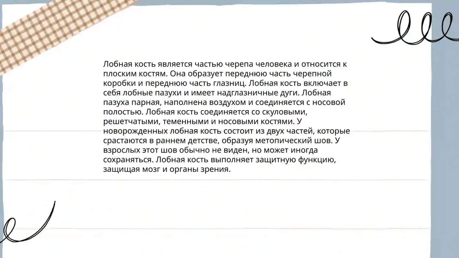 Презентация по анатомию лобная кость 3