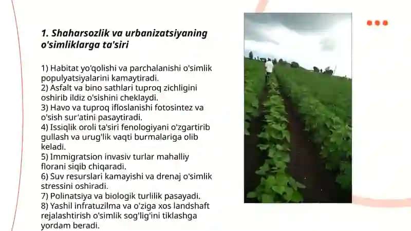 Insonlarni hozirgi xoldagi o'simliklarga ta'siri 3