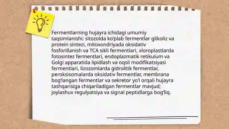 Fermentlarning hujayrada joylashuvi 3