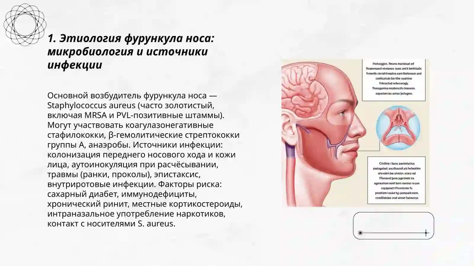 Фурункул носа этиология патогенез, лечение, клиническое проявление, осложнение. Тромбоз ковернозного синуса 3