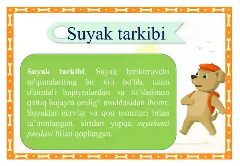 Suyaklarning tuzilishi va o’sishi 3