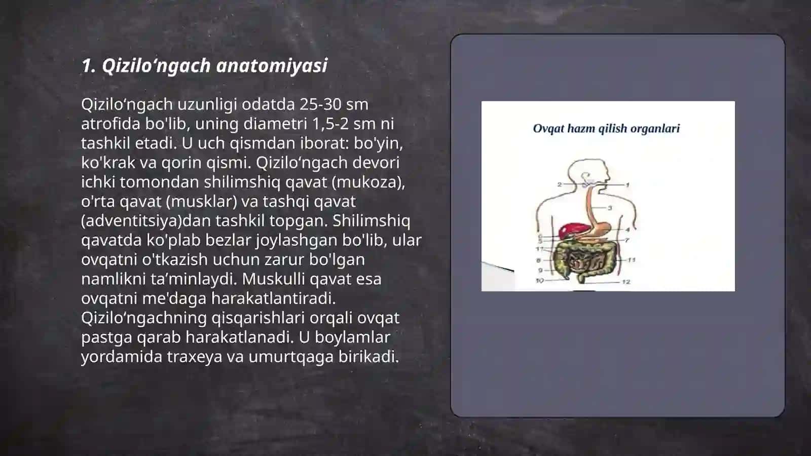 Qiziloʻngach 3