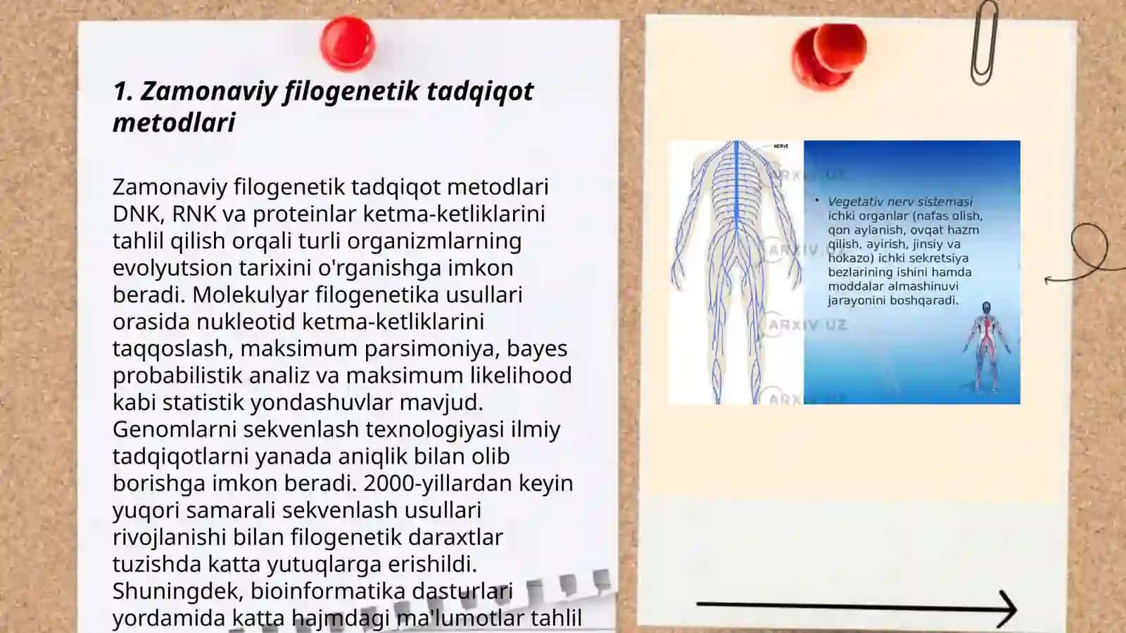 Zamonaviy filogenetik sistema 3