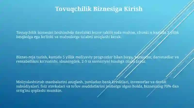 Tovuq biznes 3