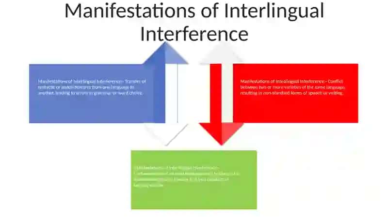 Intealingual Interference 3