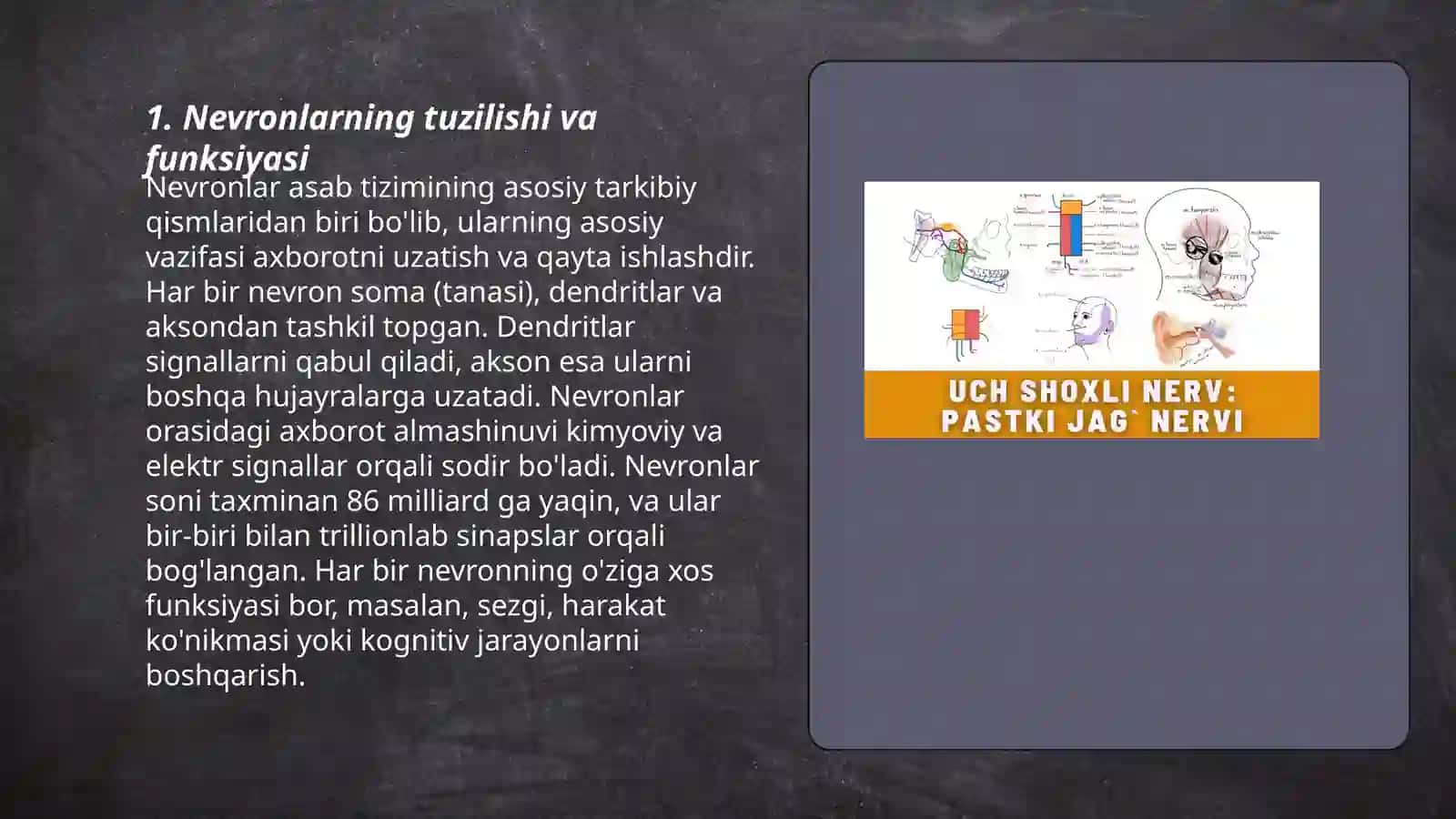 Nerv markazlarini fizalogikxusisiyatlari 3