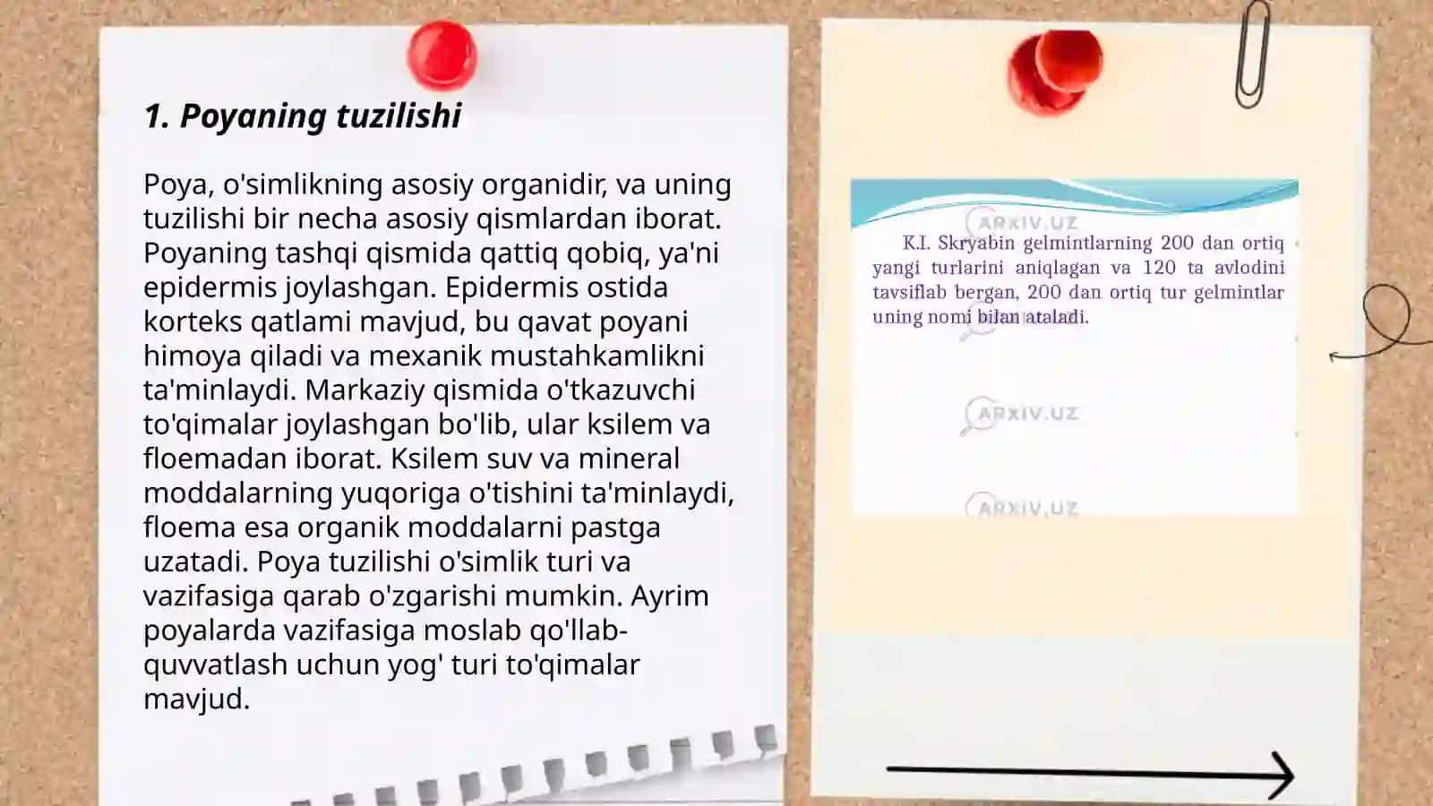 Poya va uning vazifalari 3