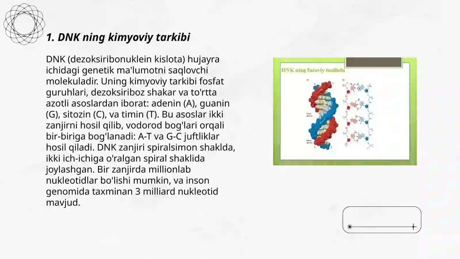 DNK ning tuzilishi 3