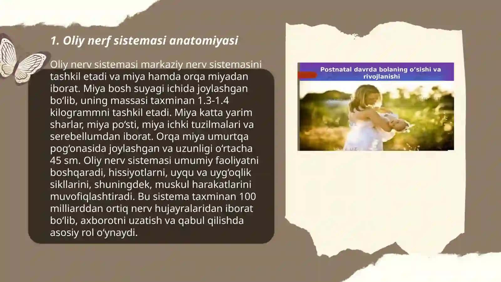 Oliy nerf faoliyatining tuzilishi 3