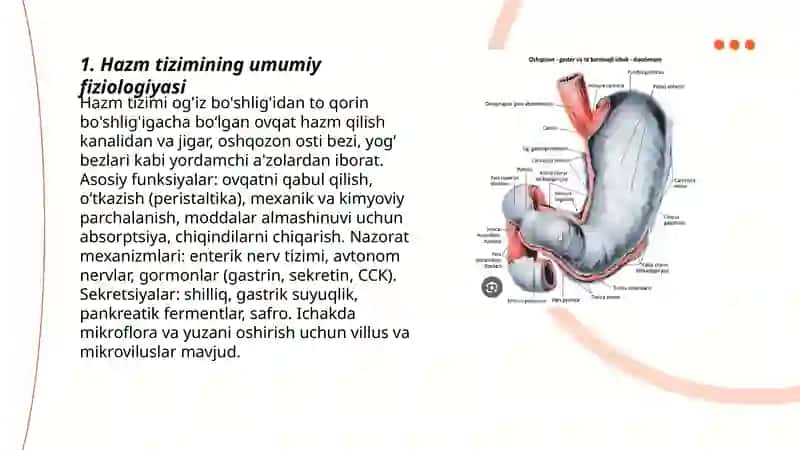 Hazm fiziologiyasi 3