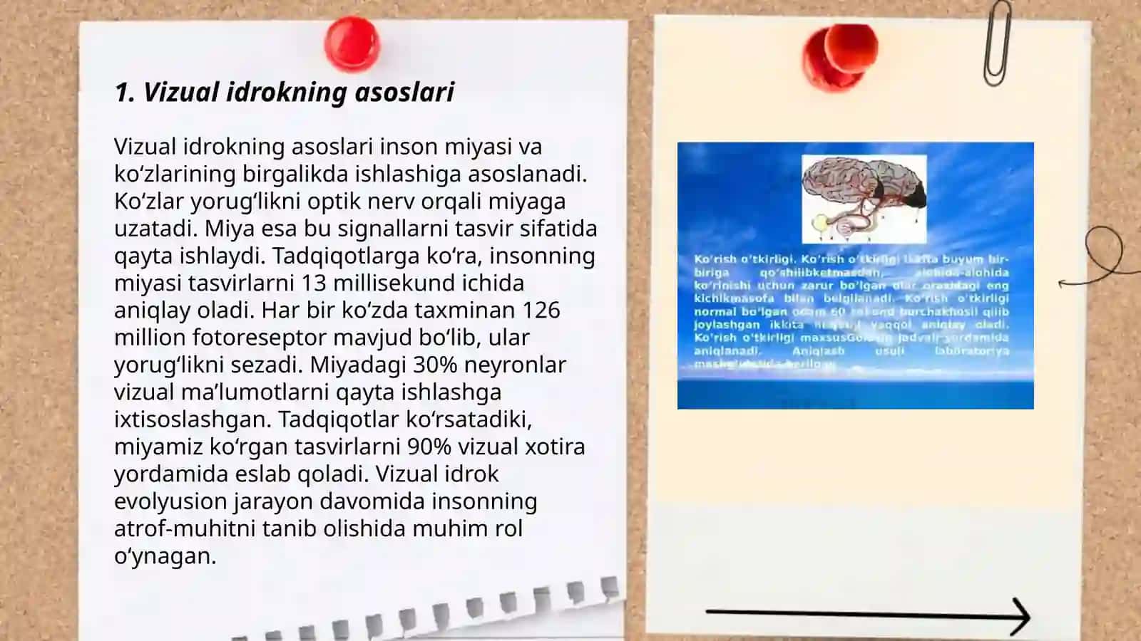 Vizual idrokning asoslari 3