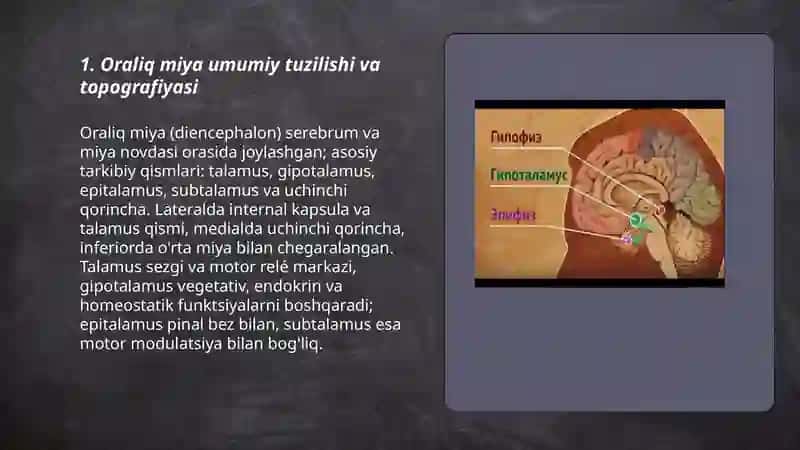 Oraliq Miya 3