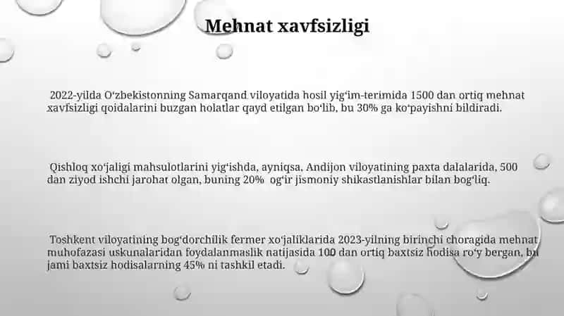 Hosil Yig'im-terimi 3