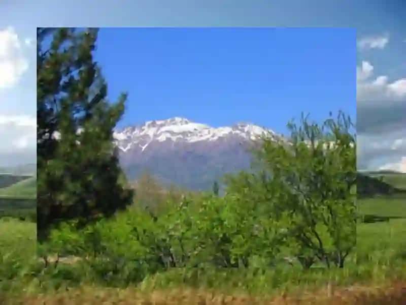 Nature of Uzbekistan 3