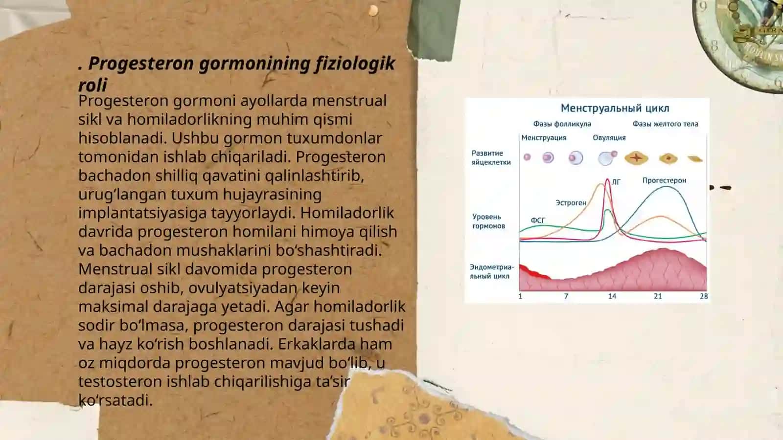 Progesteron gormoni haqida 3