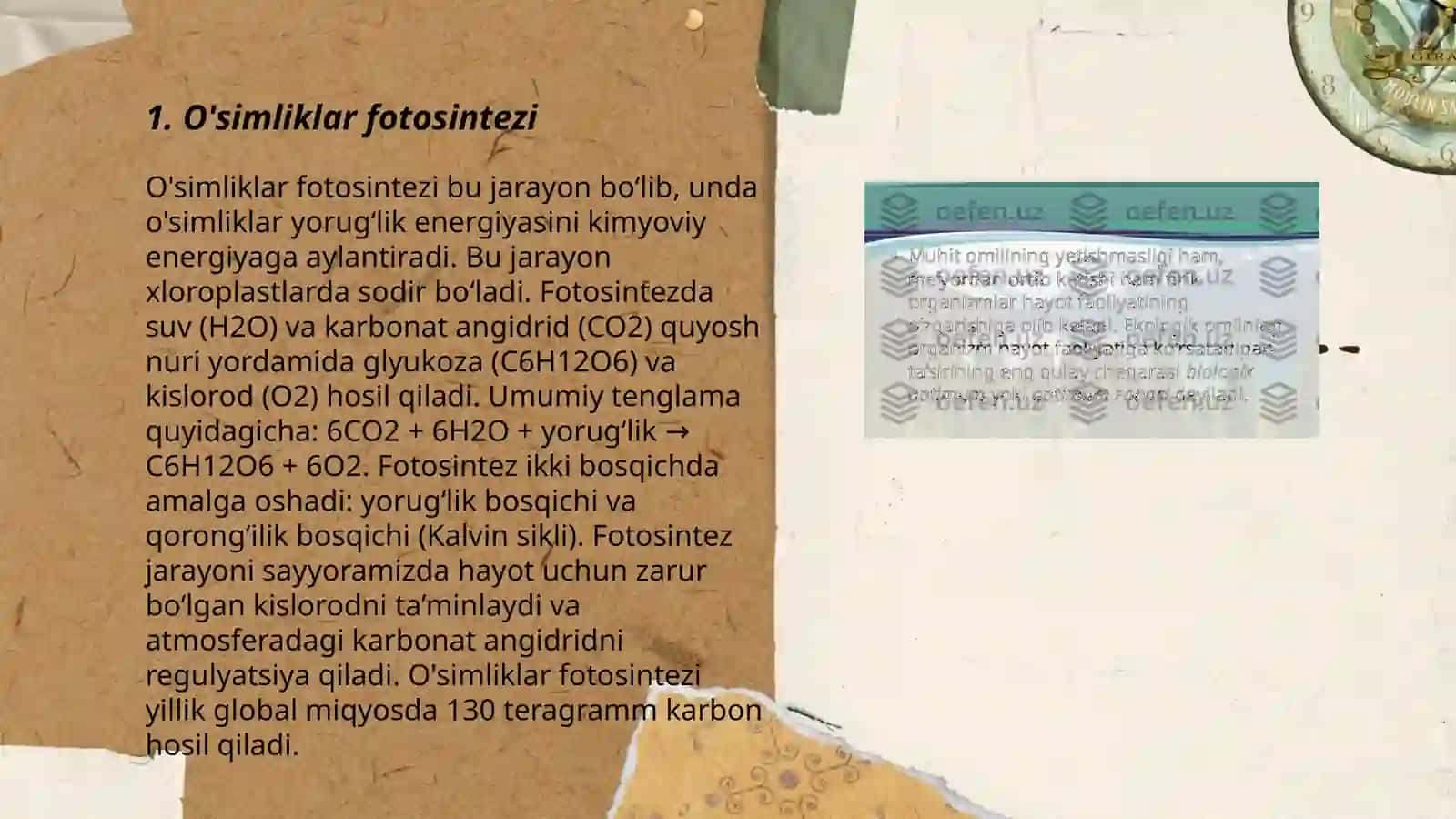 O'simliklar va atrof muhit 3