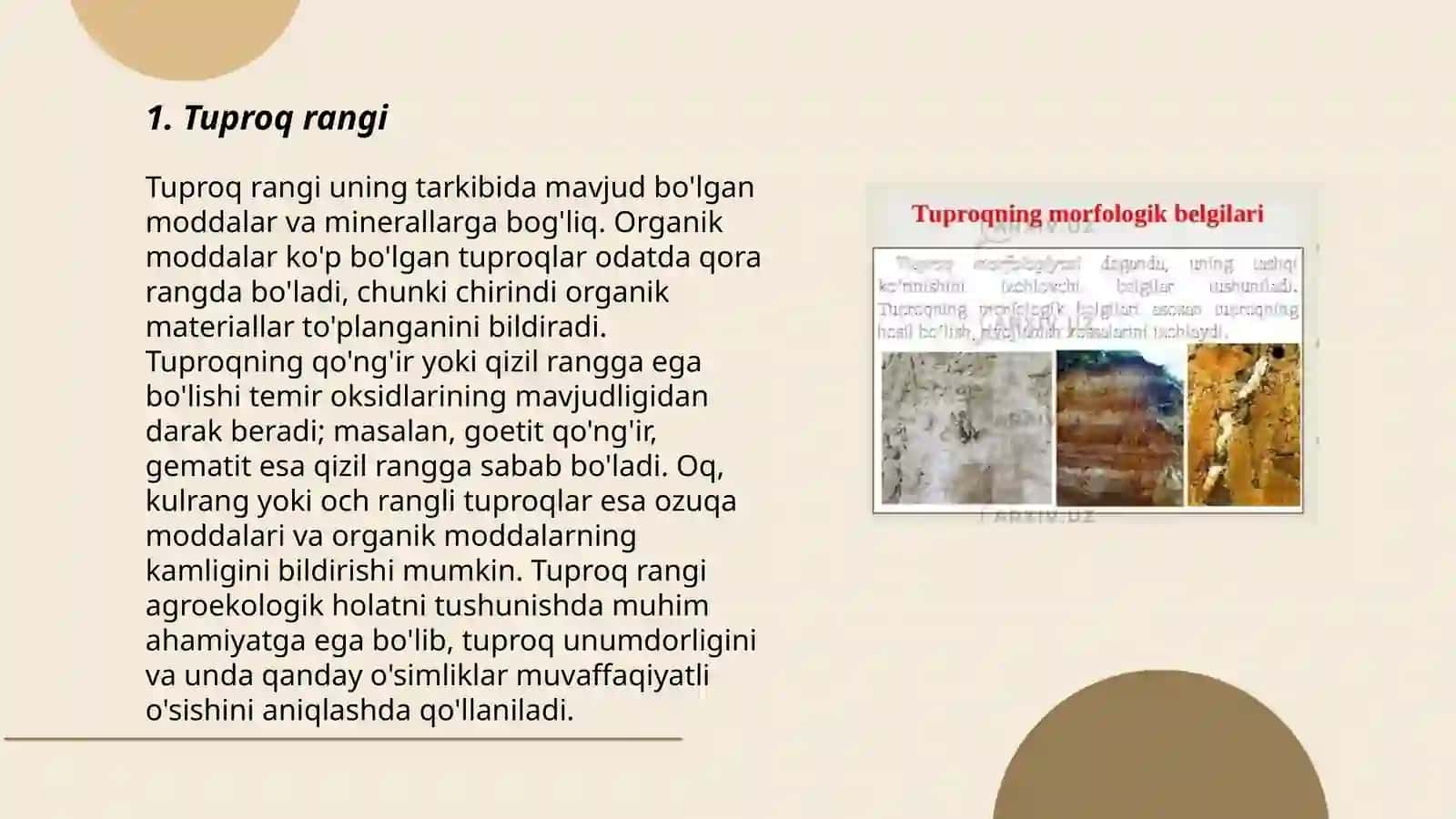 Tuproq morfologik belgilarining agronomik xususiyatlari 3