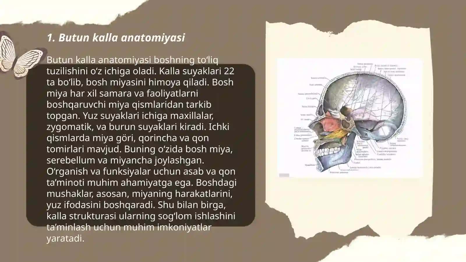Kalla suyagining topografiyasi 3