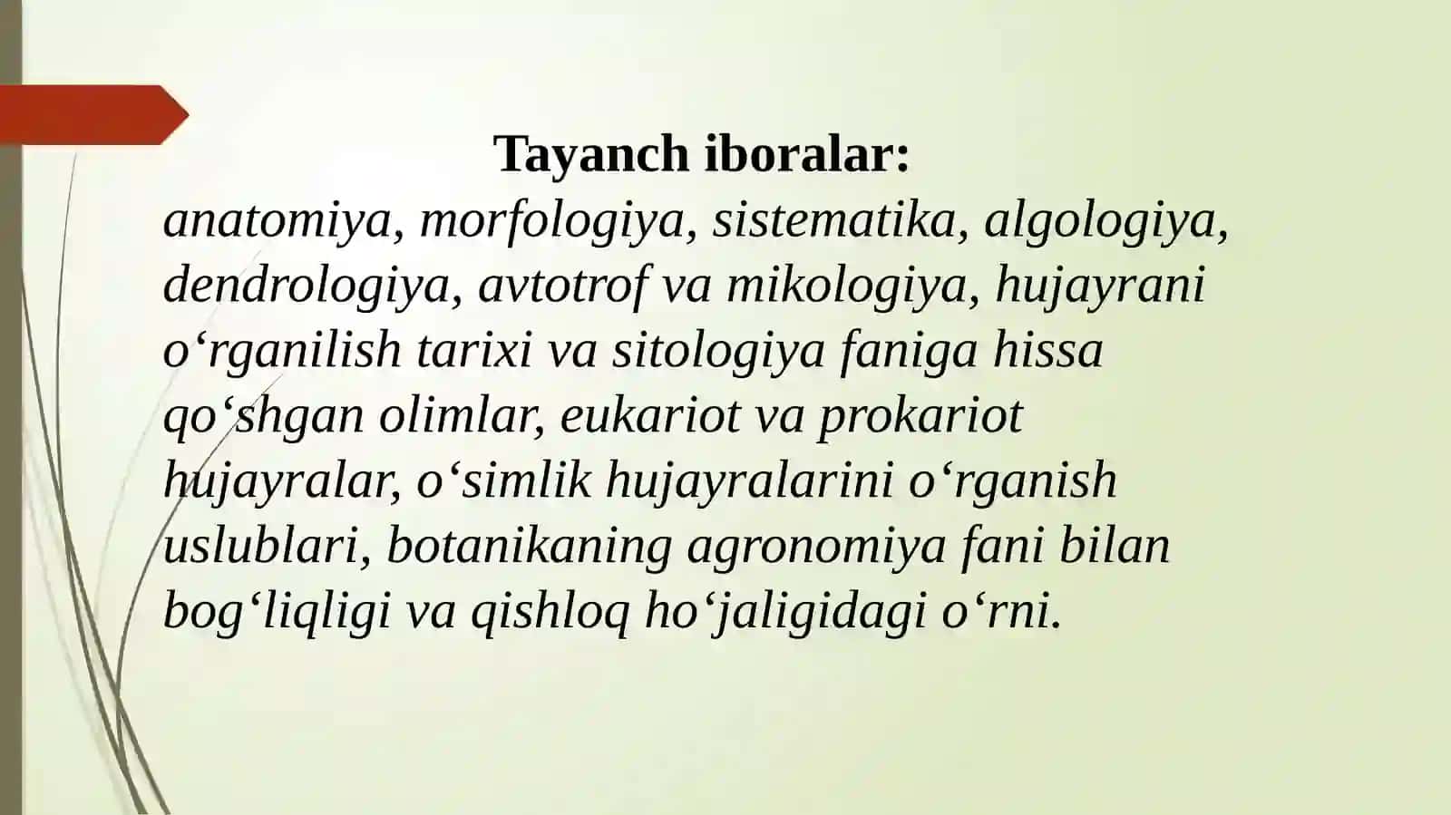 BOTANIKAFANIGA 3