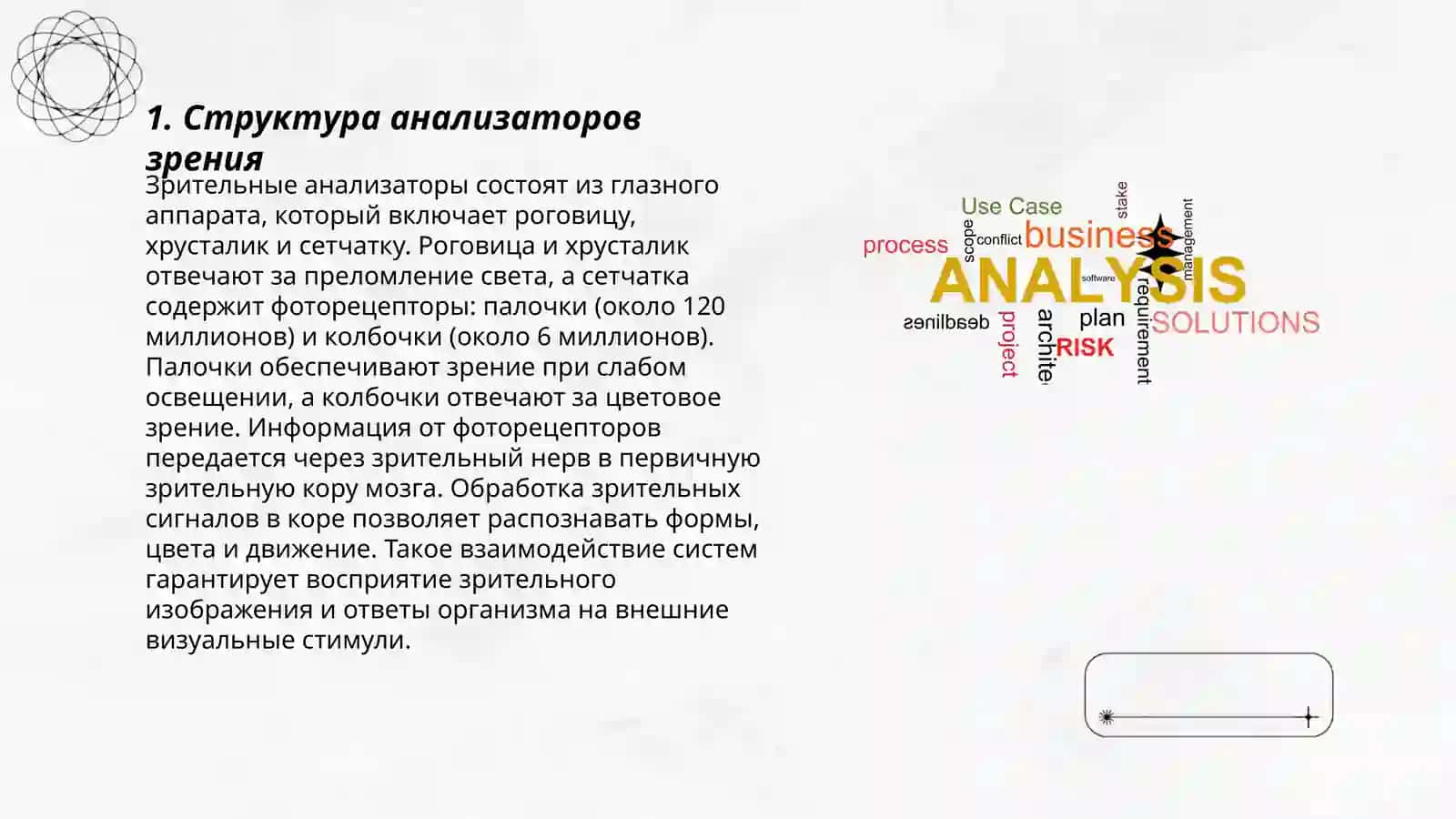 Анализатори.Зрение 3