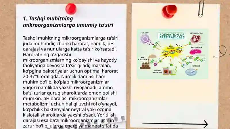 Tashqi muxit omilarining mikroorganizmlarga tasiri 3