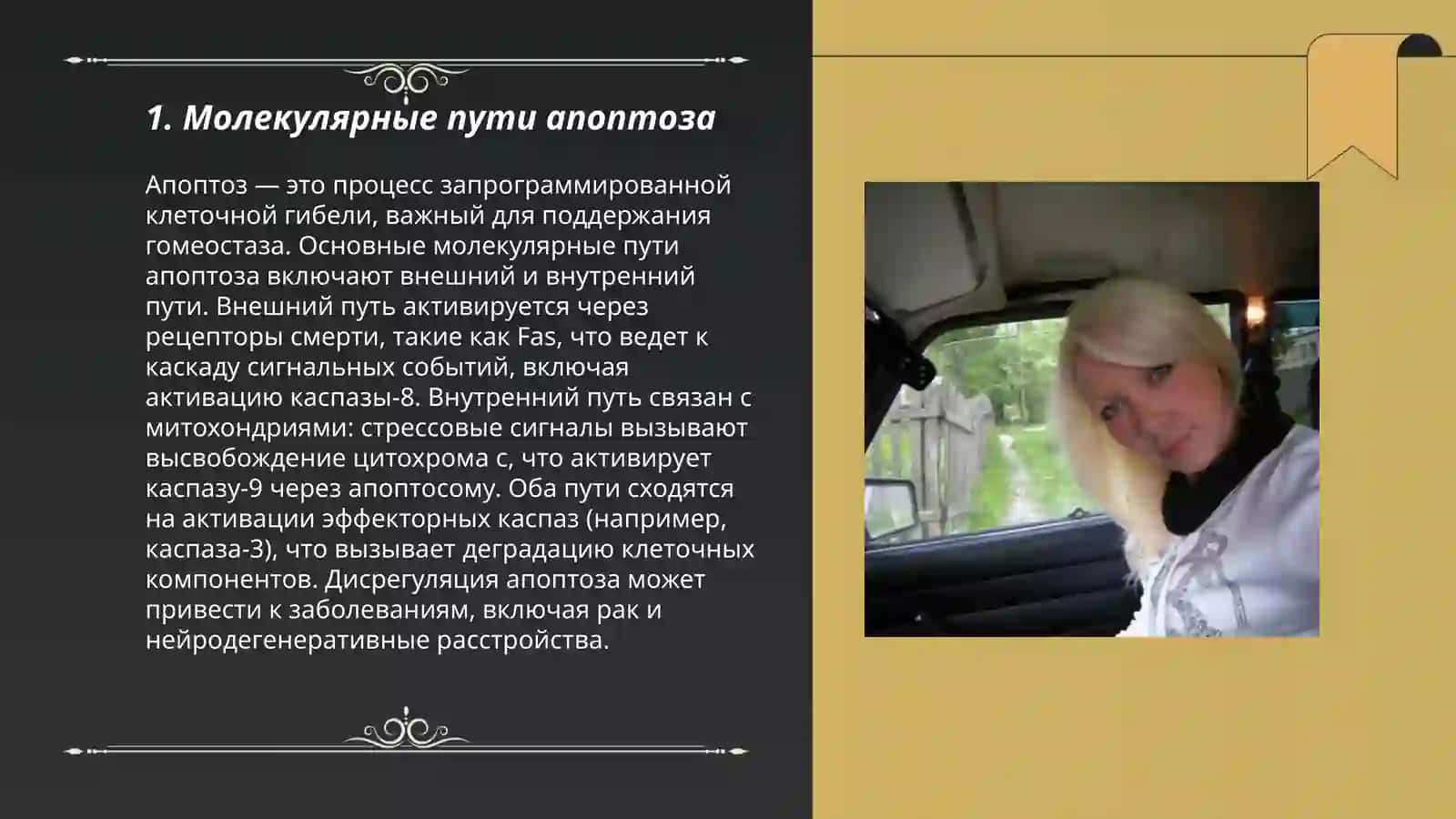 Механизмы апоптоза 3