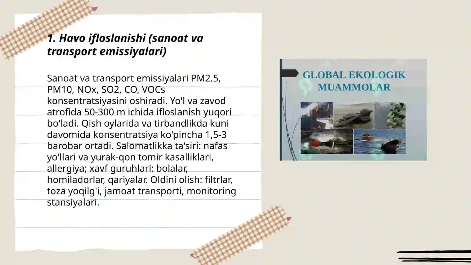 Mening hududimdagi ekologik muammolar 3