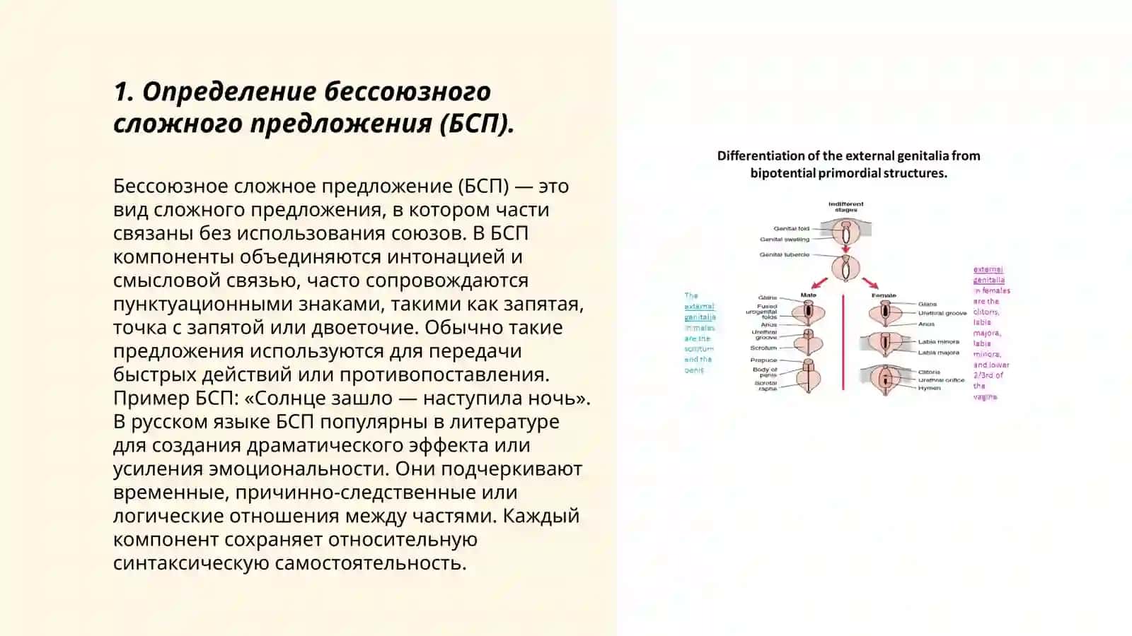 Определение бессоюзного сложного предложения (БСП) 3