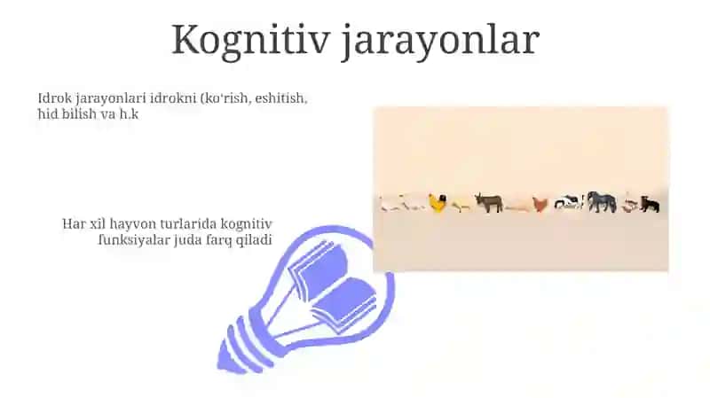 Hayvonlar psixik faoliyatining umumiy tasnifi 3