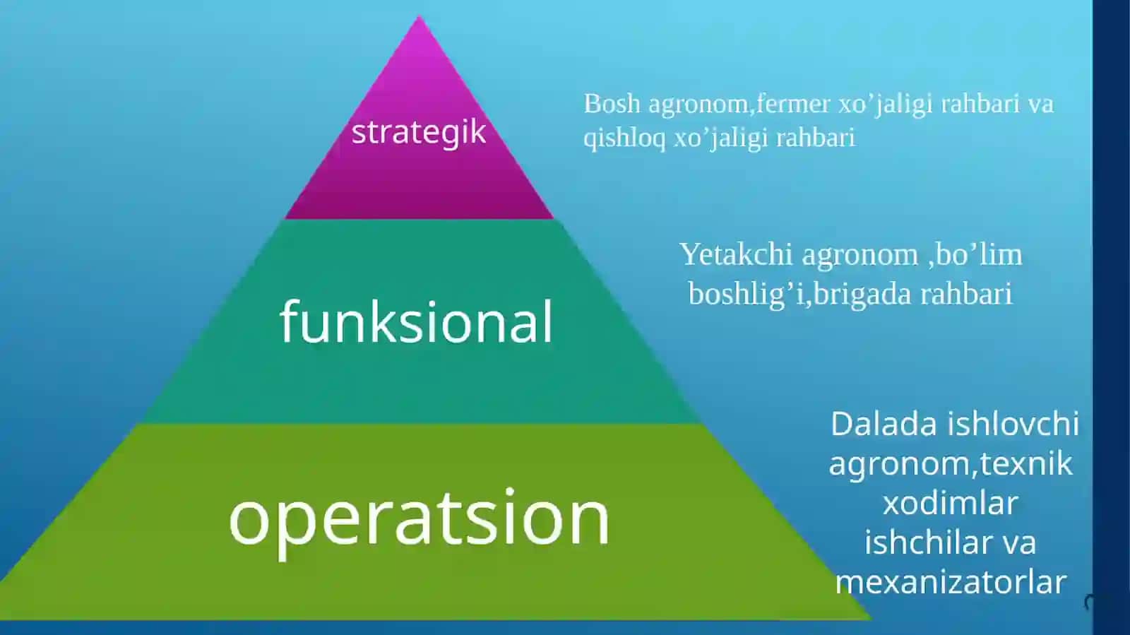 Agronom sohasi uchun boshqaruv- axborot tizimi 3