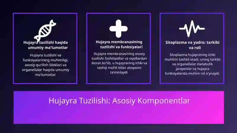 Hujayra tuzilishi.Hujayra nazariyasi.Hayvon va odam xromosomalarining morfofunksional xarakteristikasi. 3