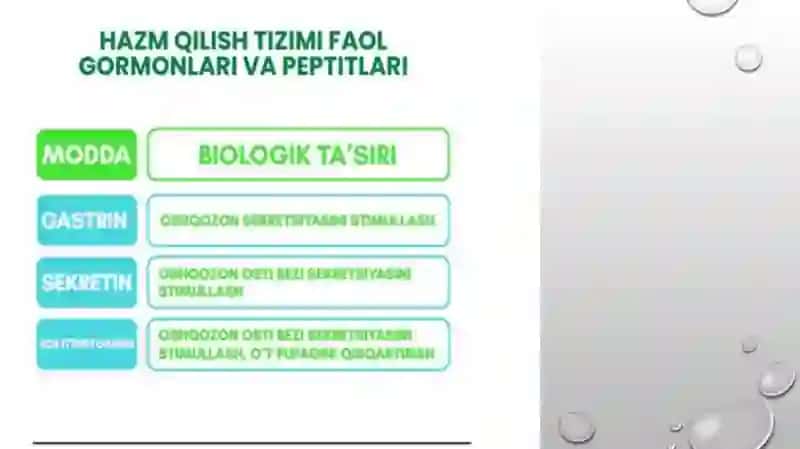 Hazm qilish tizimi patofizologiyasi 3