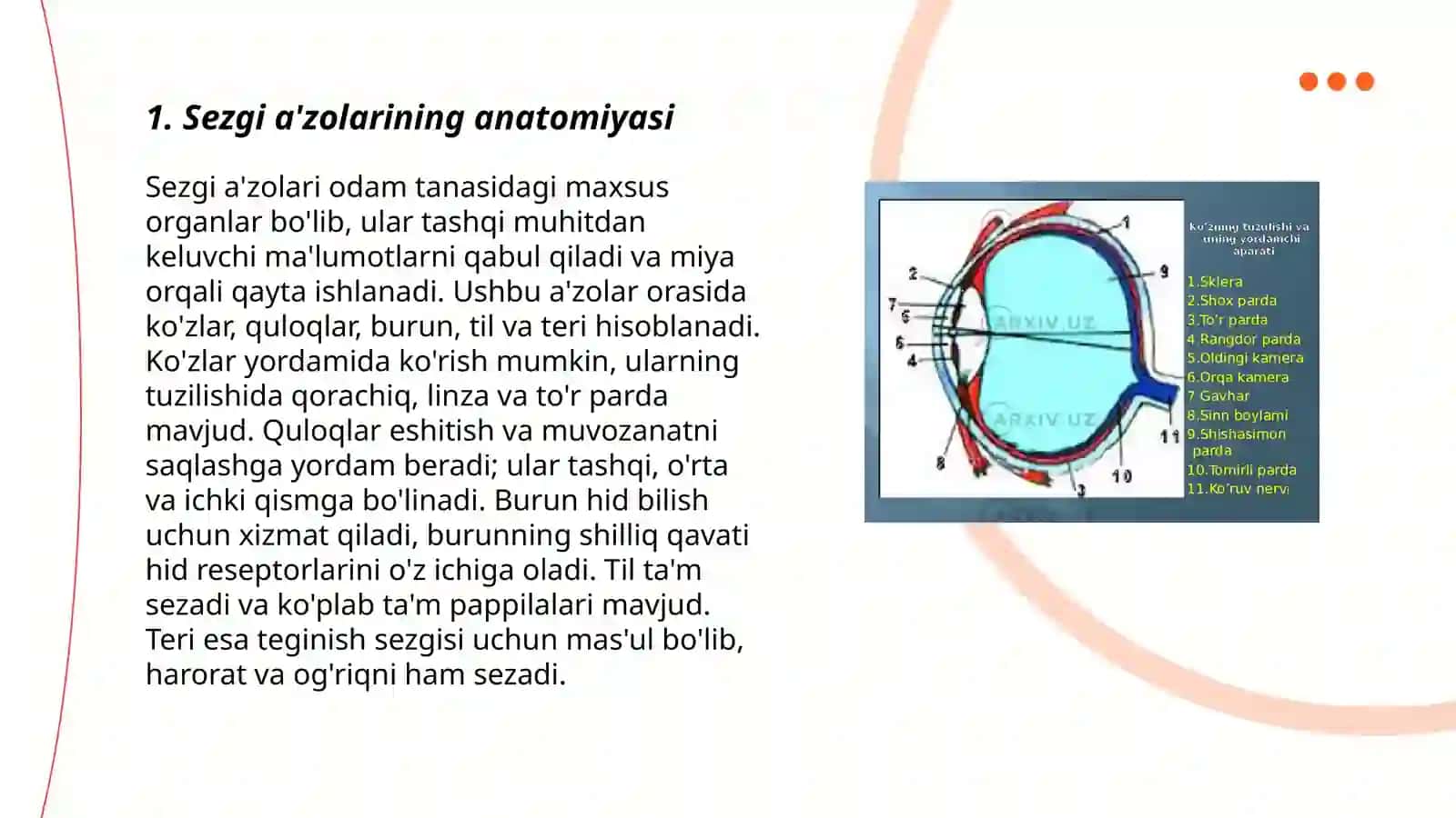 Sezgi a'zolarining boshqarilishi 3