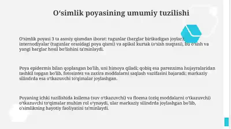 Oʻsimlik poyasining umumiy tuzilishi 3