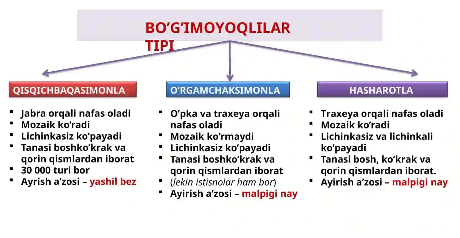 BO’G’IMOYOQLILAR TIPI Zoologiya 5-dars 3