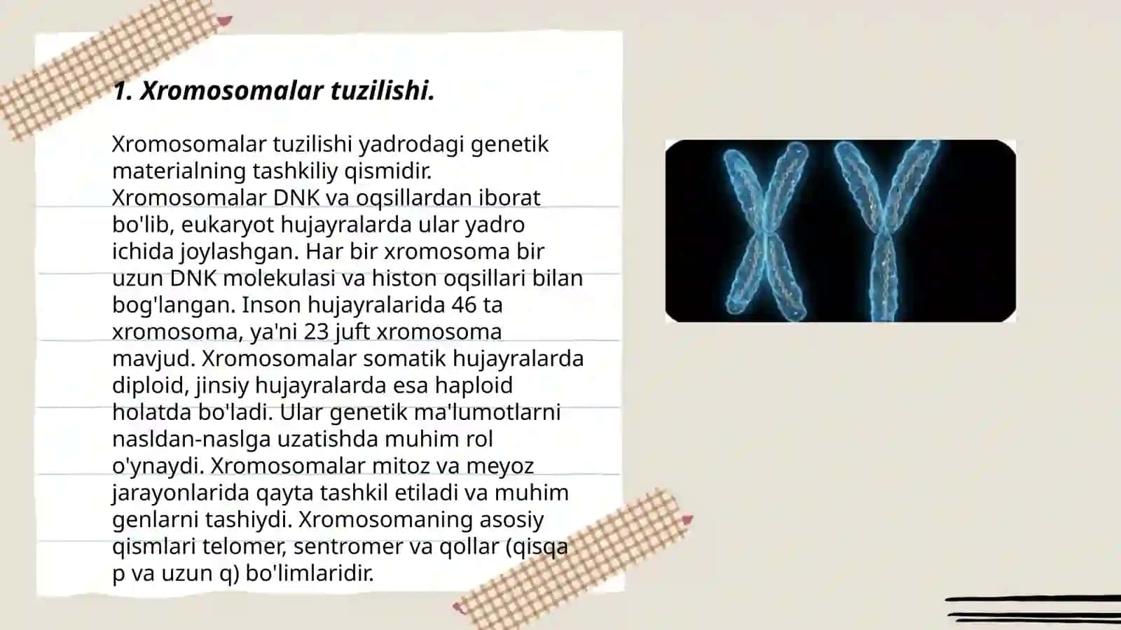 Xromosomalar tuzilishi 3