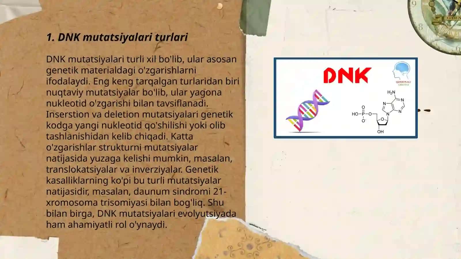 DNK mutatsiyasi 3