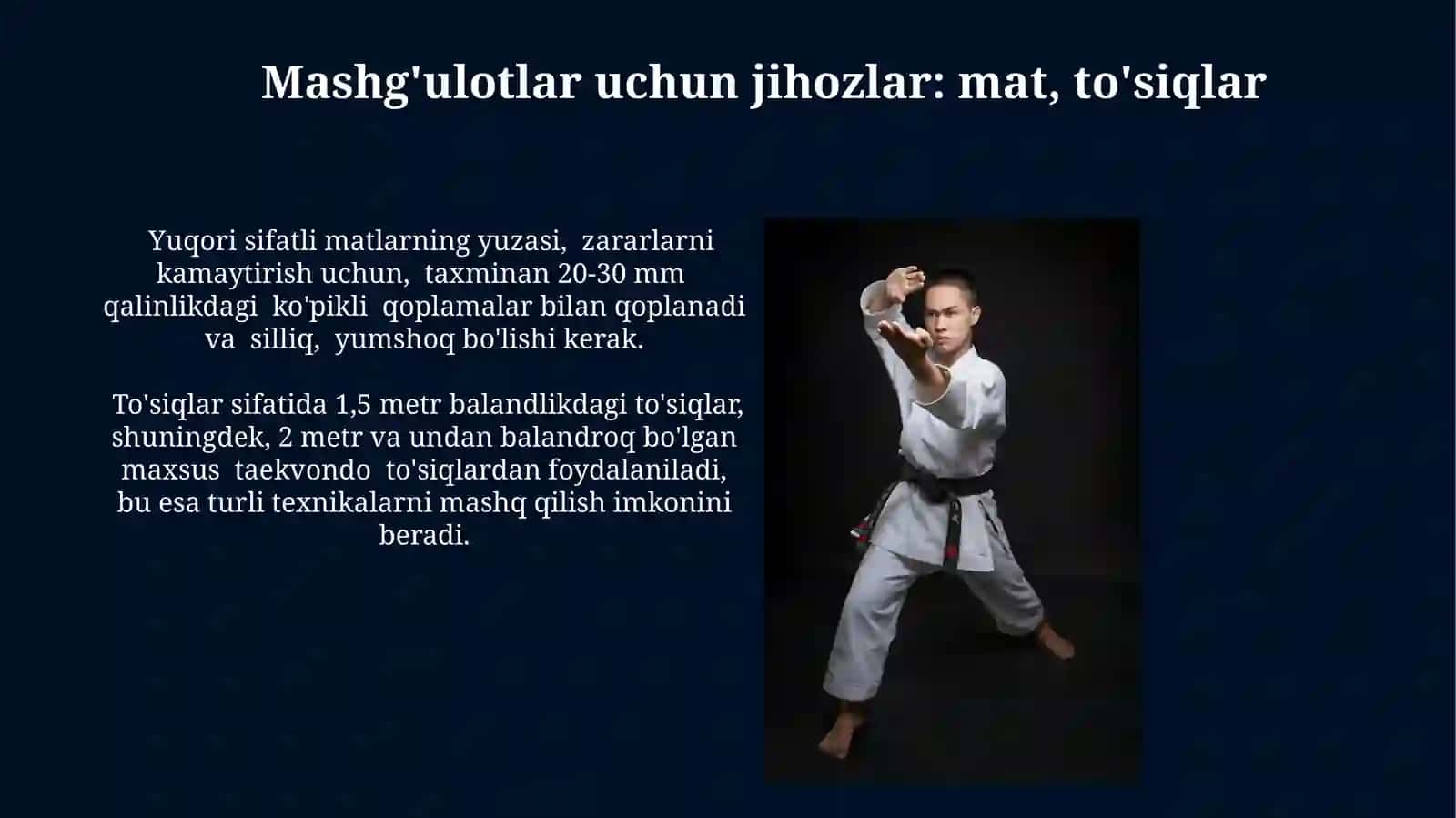 Taekvando sport turi 3