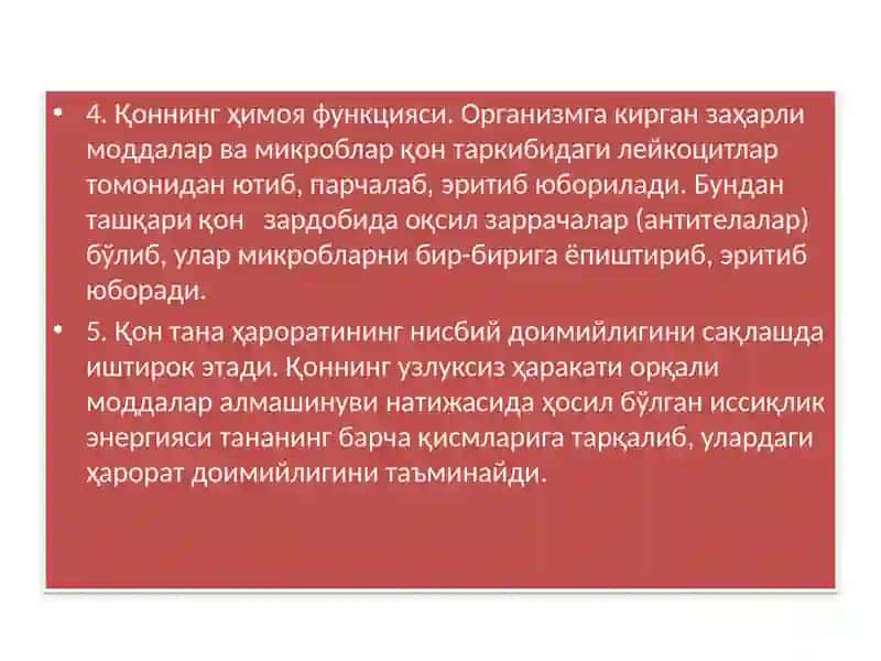 Қoннинг Айланишорганларининг Хусусиятлари 3