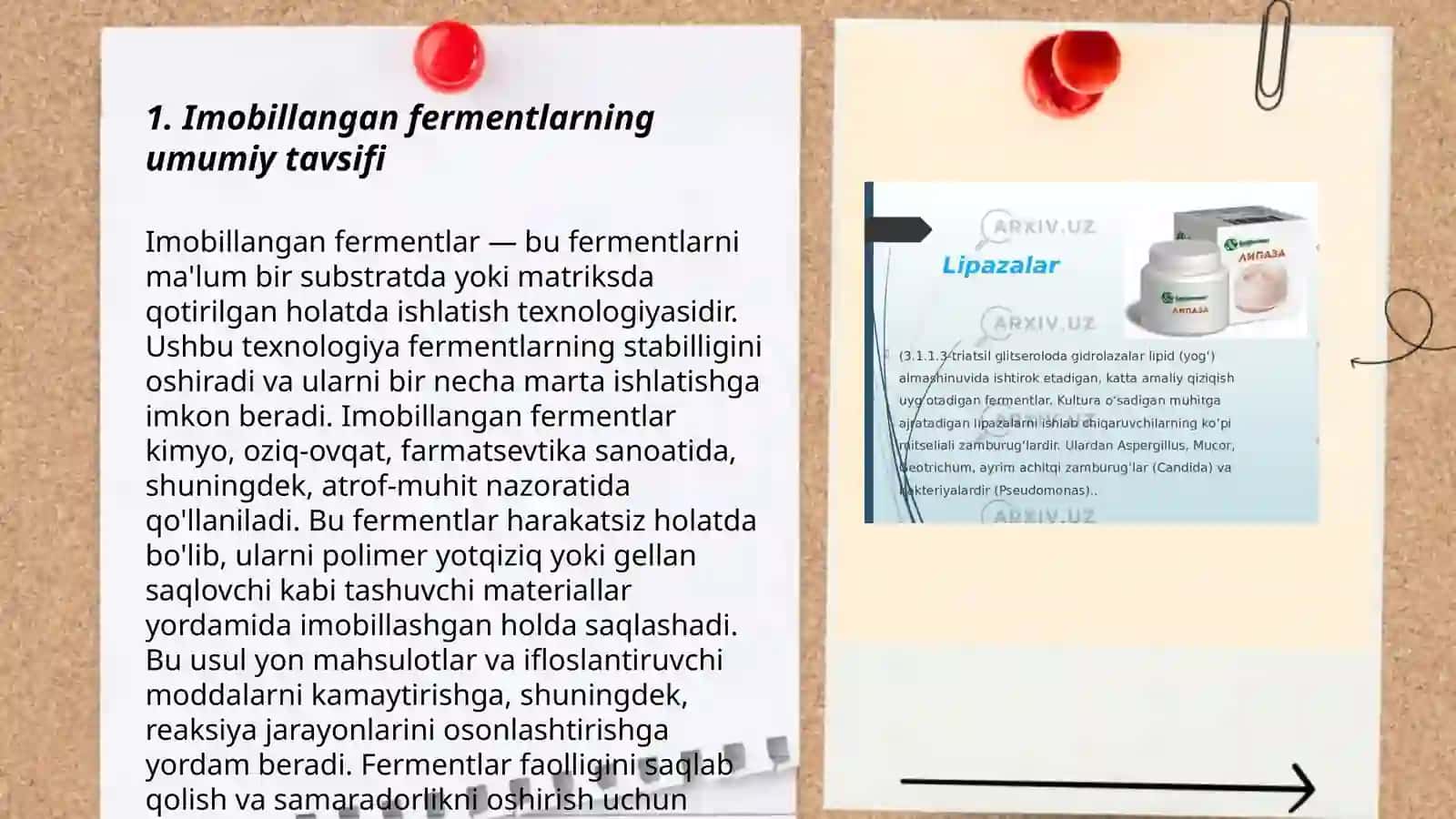 Imobillangan fermentlar 3