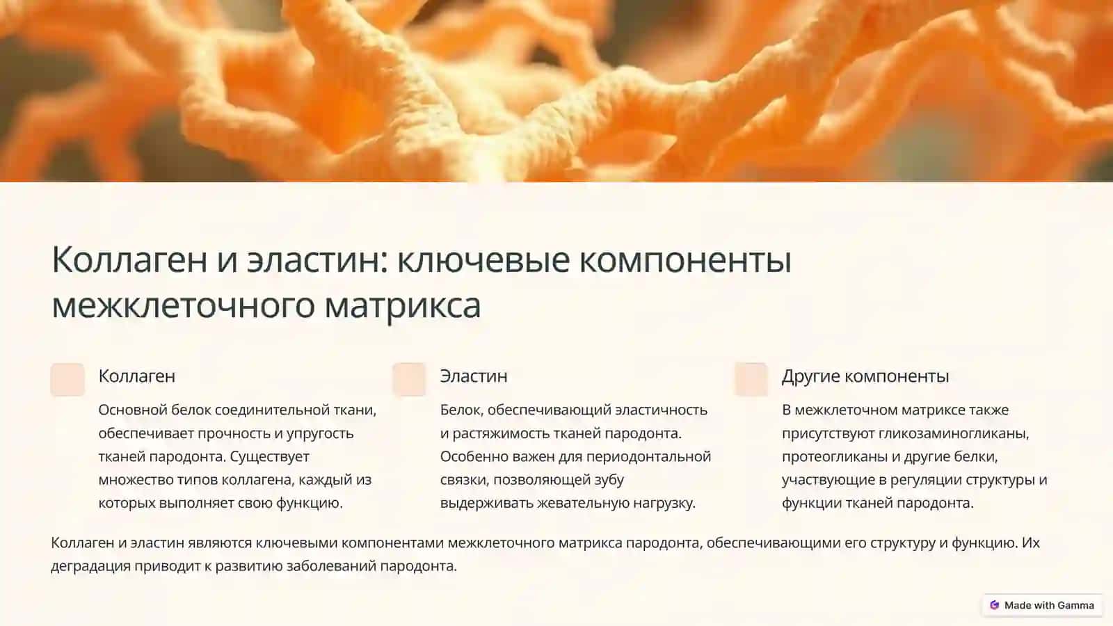 Биохимия пародонта: Структура и заболевания 3