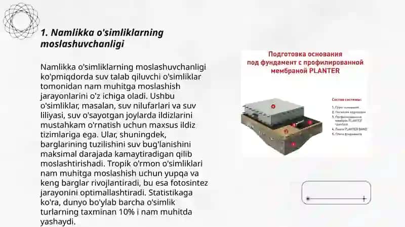 Oʻsimliklarning ekologik guruhlari 3