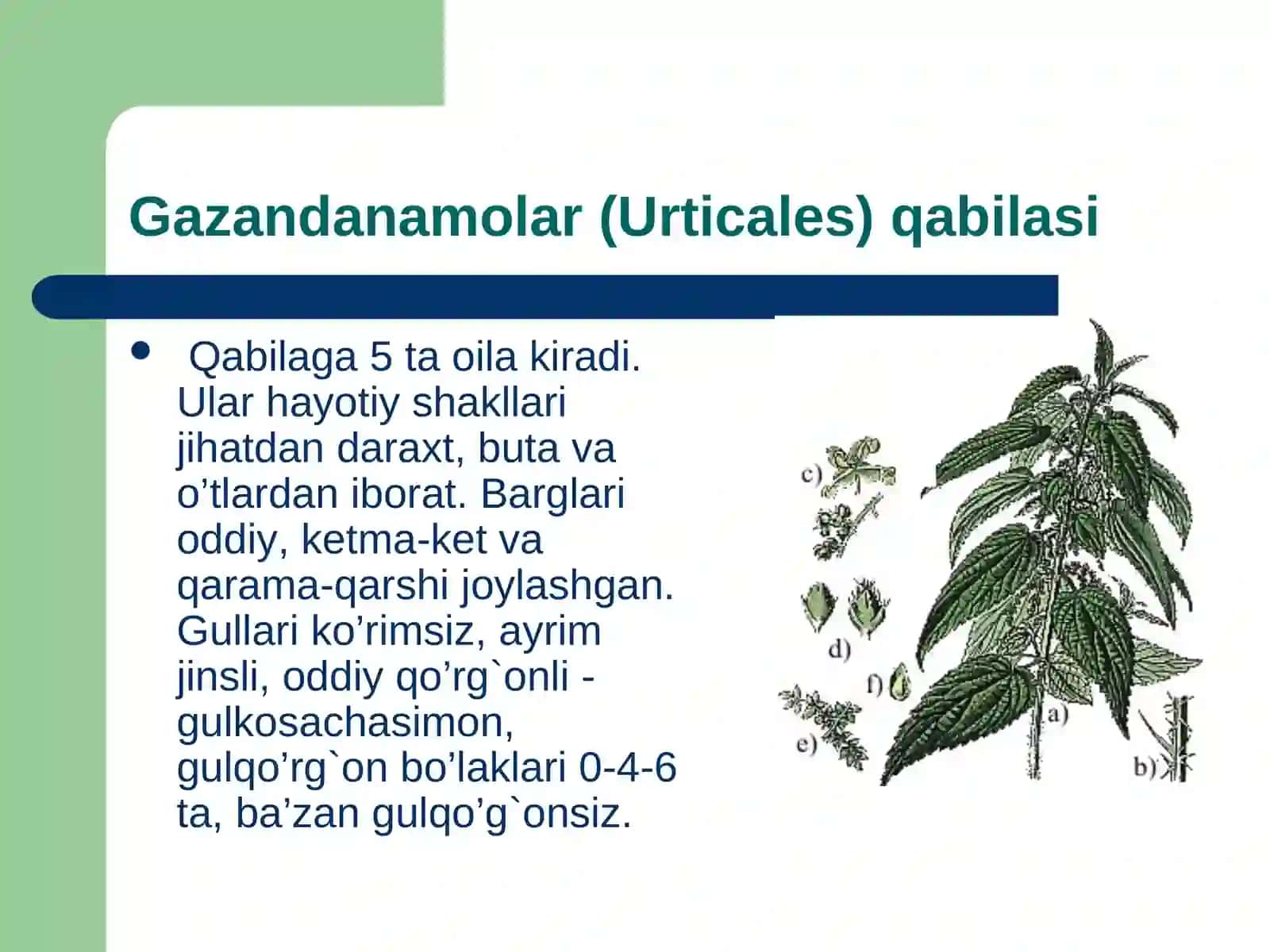 Gazandanamolar qabilasi 3