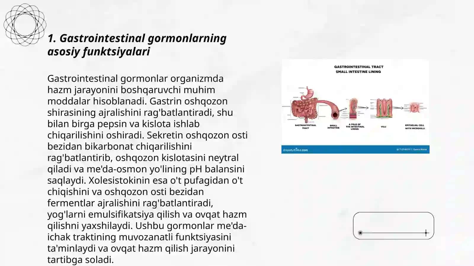 Gastrointestinal gormonlar 3